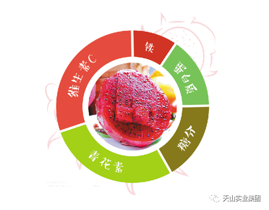 天山事業(yè)集團(tuán)